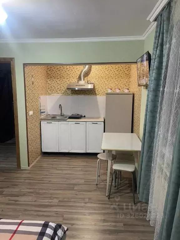 Студия Краснодарский край, Сочи Пластунская ул., 32 (28.0 м) - Фото 1