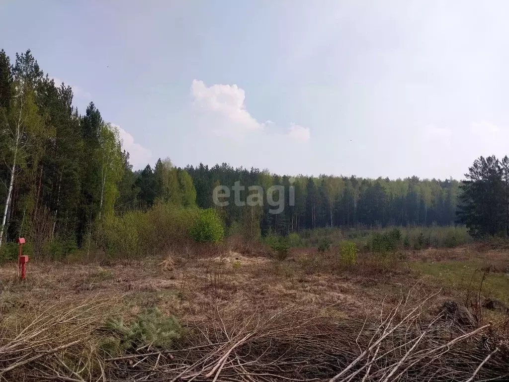 Купить Земельный Участок В Арамиле Свердловской