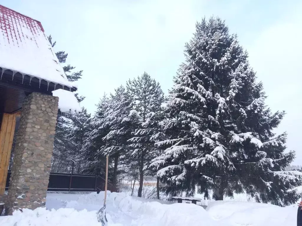 Дом в Тверская область, Осташковский муниципальный округ, д. Гуща 49 ... - Фото 2