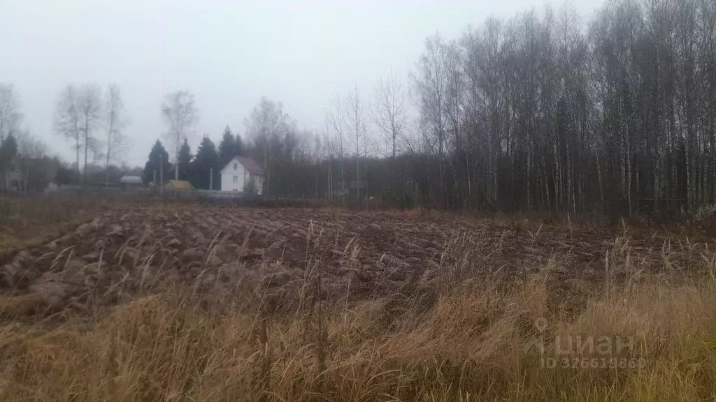 Участок в Владимирская область, Александровский муниципальный округ, ... - Фото 1