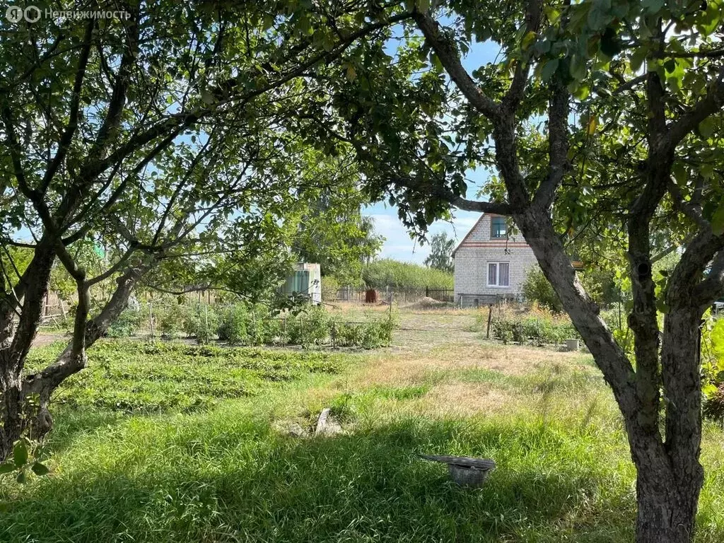 Дом в Старый Оскол, ДНТ Колос (30 м) - Фото 0