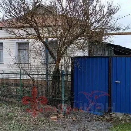 Дом в Белгородская область, Яковлевский муниципальный округ, с. Шопино ... - Фото 1