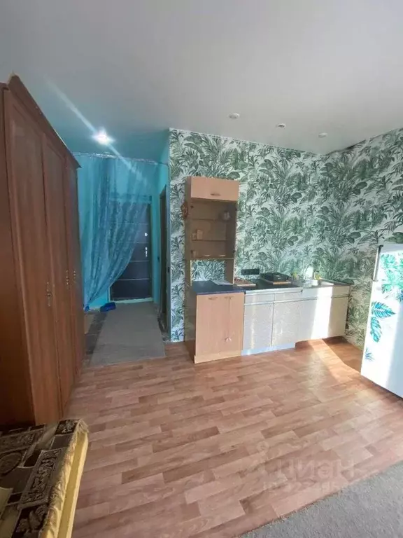 Студия Новосибирская область, Мошковский район, пос. Октябрьский ... - Фото 1