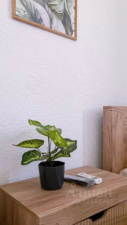 Студия Краснодарский край, Новороссийск городской округ, с. Мысхако ... - Фото 1