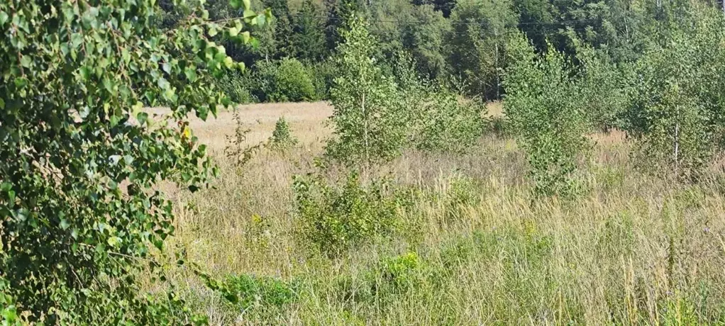 Участок в Московская область, Солнечногорск городской округ, д. Мостки ... - Фото 1
