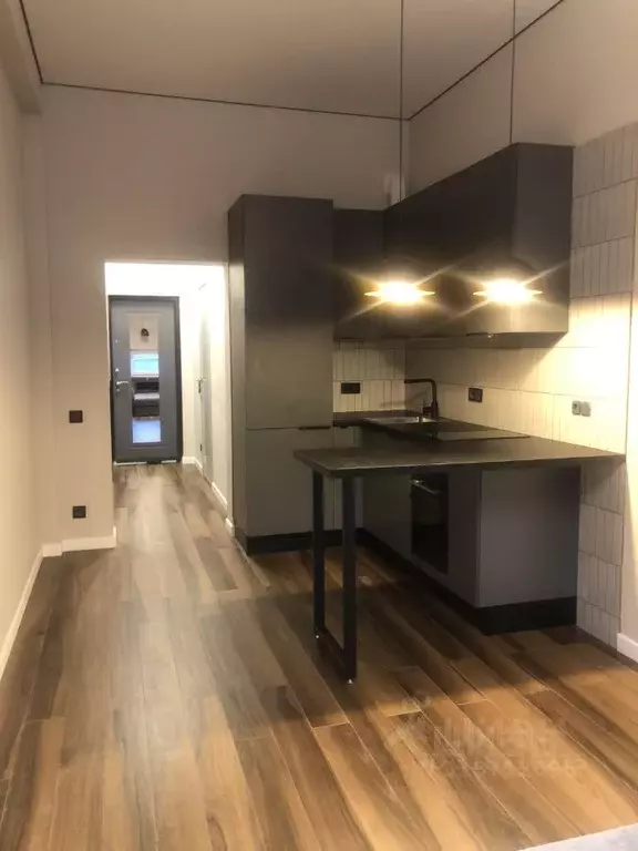 Студия Москва ул. Клары Цеткин, 18к3 (27.0 м) - Фото 0