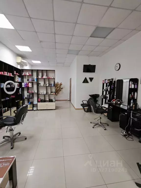 Помещение свободного назначения в Краснодарский край, Анапа ... - Фото 1