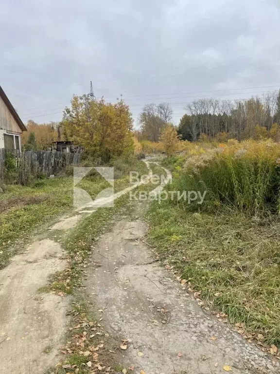 Участок в Новосибирская область, Новосибирск Васильковая ул. (6.5 ... - Фото 1