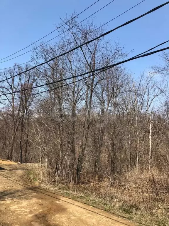 Участок в Приморский край, Владивостокский городской округ, пос. ... - Фото 1