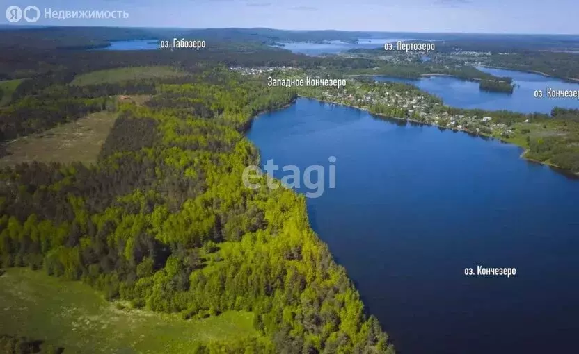 Участок в Кондопожский район, Кончезерское сельское поселение, село ... - Фото 1