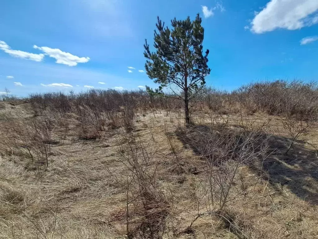 Участок в Алтайский край, Бийск ул. Нины Ширяевой (11.5 сот.) - Фото 0