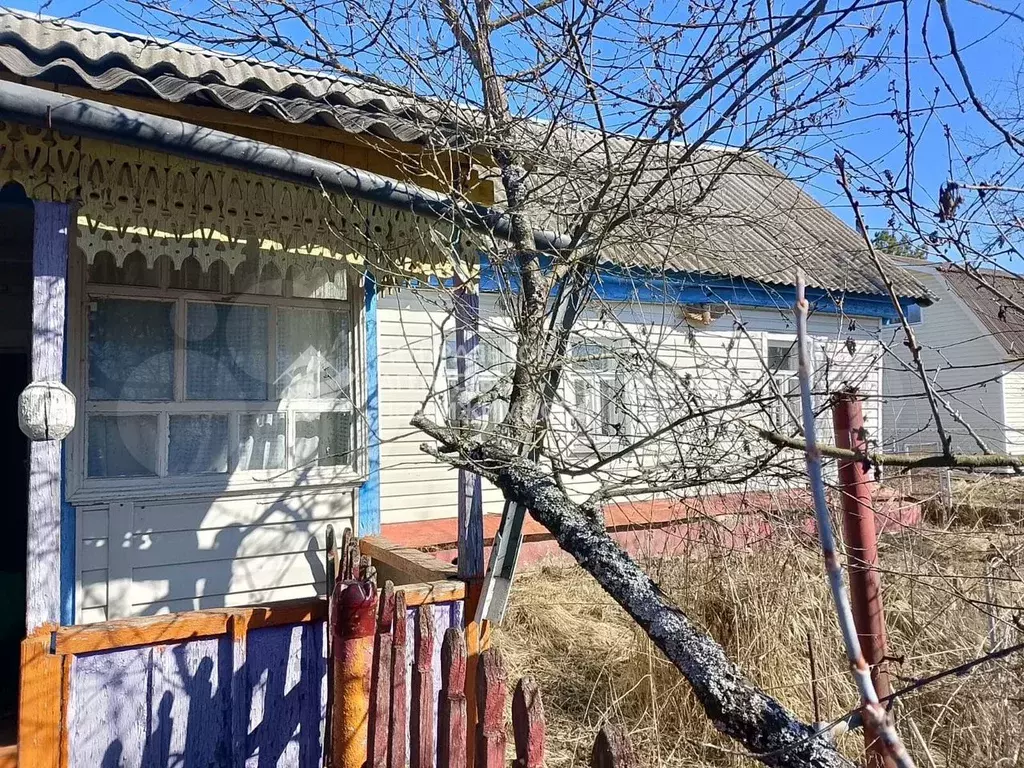 Дом 50,5 м на участке 30 сот. - Фото 1