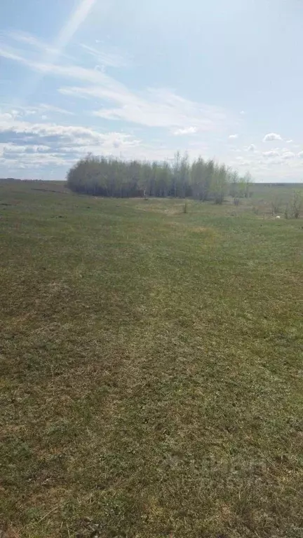 Участок в Саха (Якутия), Якутск городской округ, с. Тулагино  (12.0 ... - Фото 2