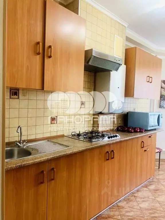 1-к кв. Краснодарский край, Анапа Крымская ул., 272 (54.0 м) - Фото 2