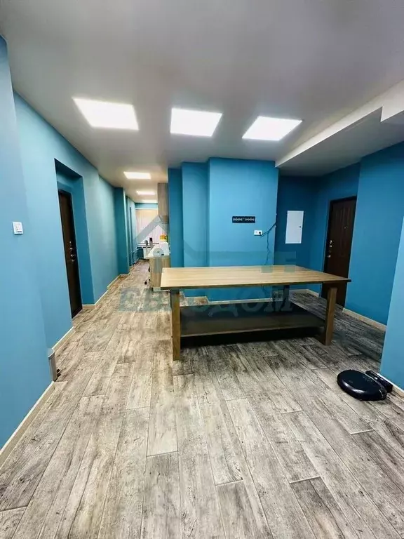 Офис в Новосибирская область, Новосибирск ул. Романова, 39 (28 м) - Фото 2