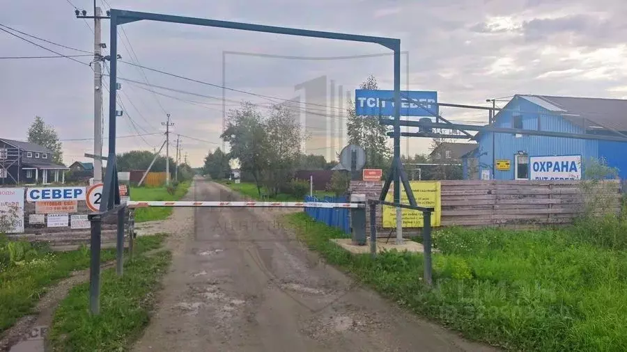 Дом в Новосибирская область, Колыванский район, Север ТСН 283 (27 м) - Фото 1