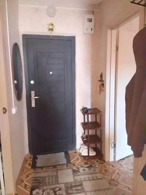 1-к кв. Алтайский край, Барнаул ул. Гущина, 209/18 (33.0 м) - Фото 1