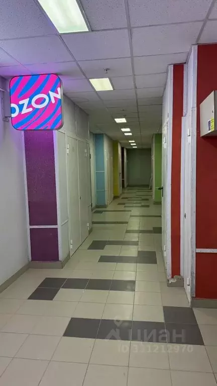 Помещение свободного назначения в Краснодарский край, Сочи Раз.Два.Три ... - Фото 2