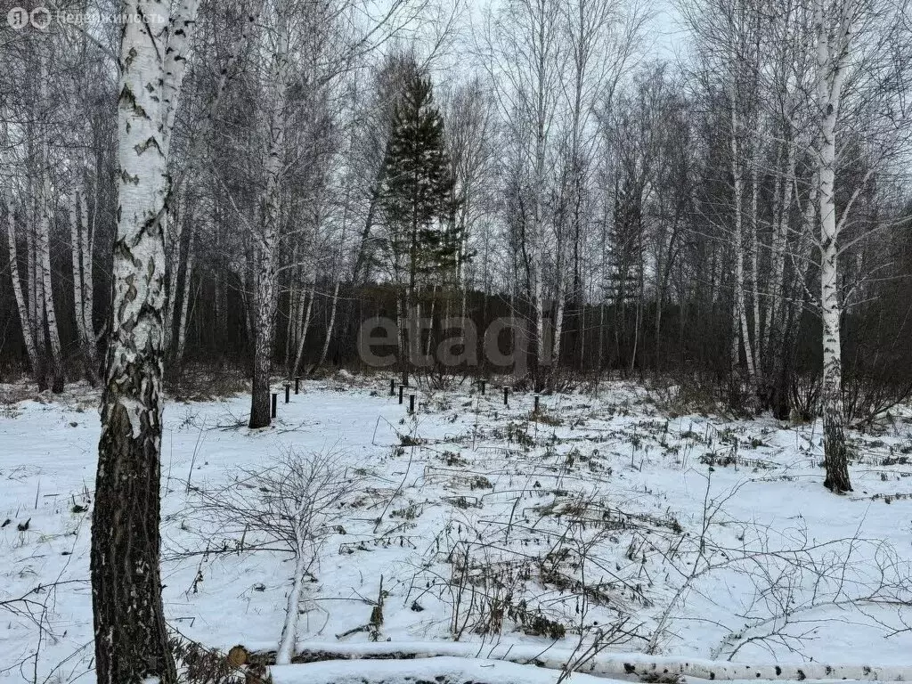 Участок в Ордынский район, деревня Новый Шарап (108.95 м) - Фото 0