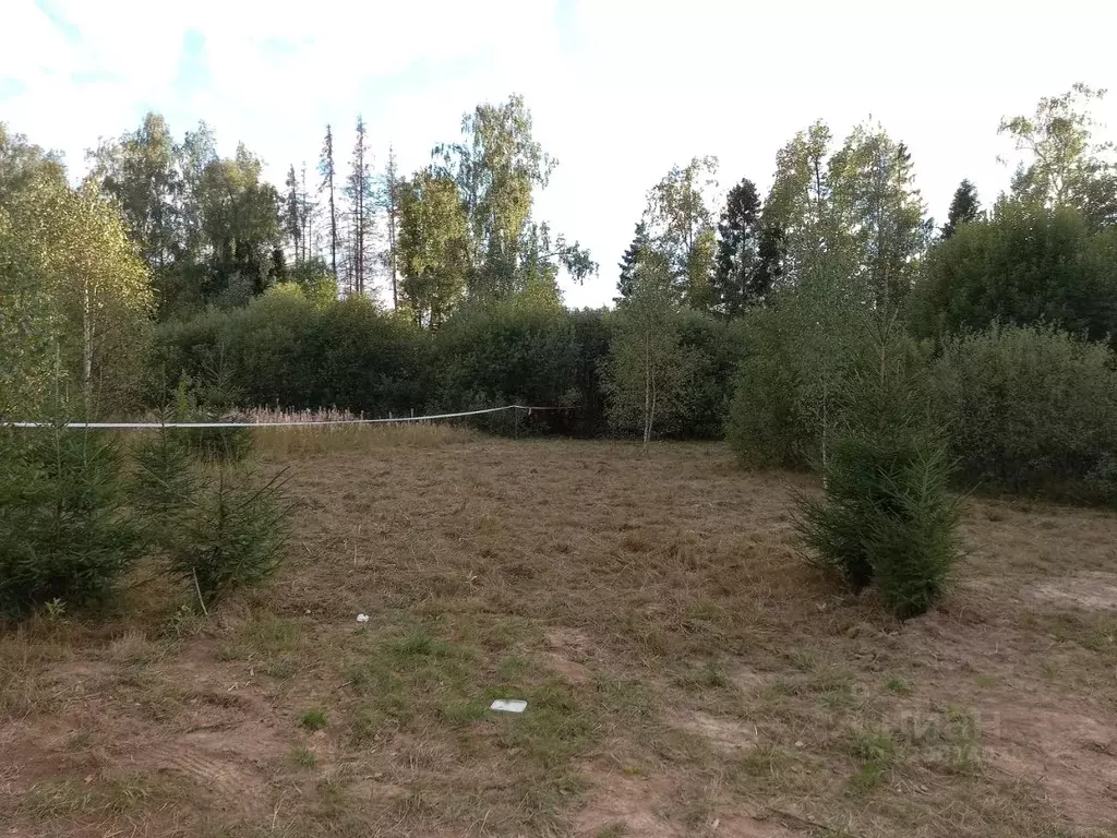 Участок в Московская область, Дмитровский муниципальный округ, пос. ... - Фото 1