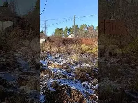 Дача 19 м на участке 6 сот. - Фото 1