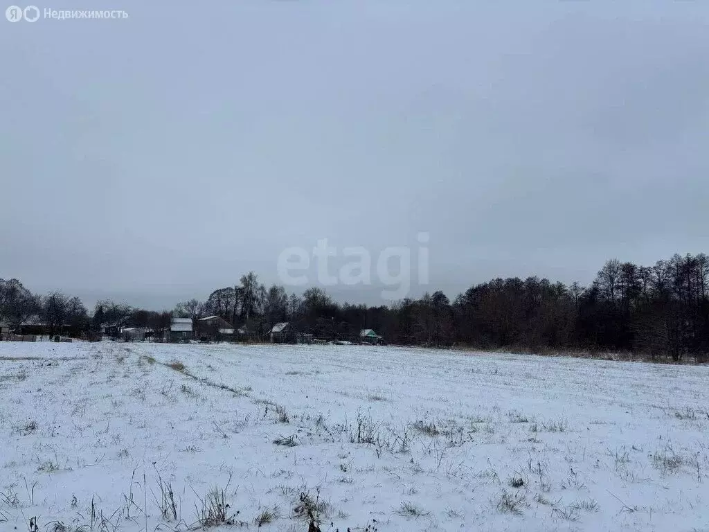 Участок в Московская область, городской округ Коломна, село Шеметово ... - Фото 0