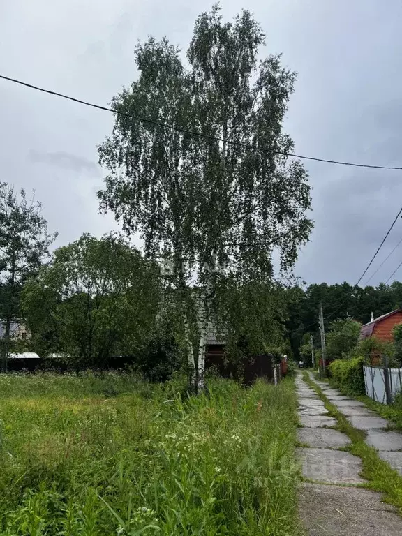 Участок в Москва Имени 70-летия ВЛКСМ СНТ, 27 (6.15 сот.) - Фото 1