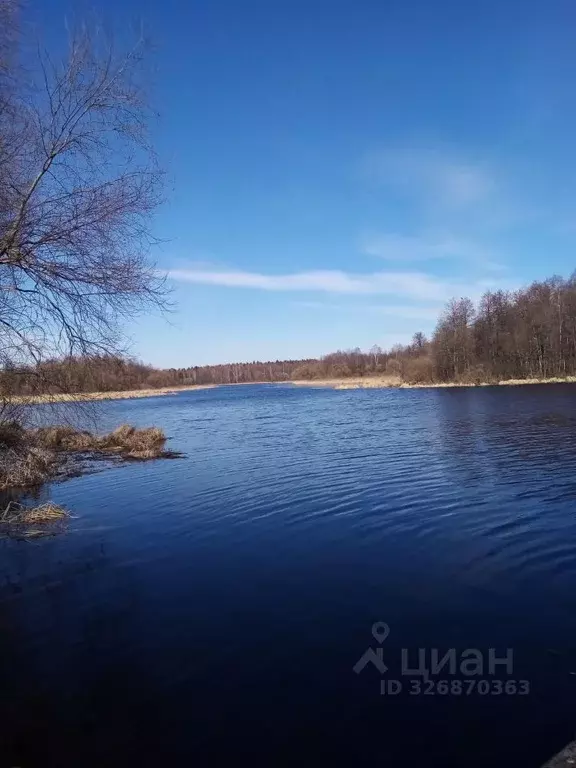 Участок в Тверская область, Конаковский муниципальный округ, д. ... - Фото 2