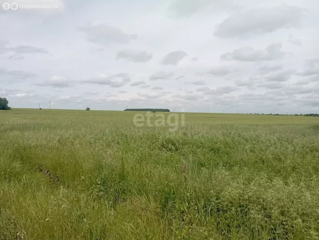 Участок в Амурская область, Благовещенский муниципальный округ, село ... - Фото 0