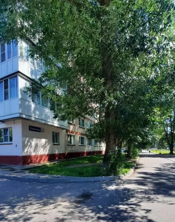 Студия Ленинградская область, Сосновый Бор Солнечная ул., 23 (18.7 м) - Фото 2