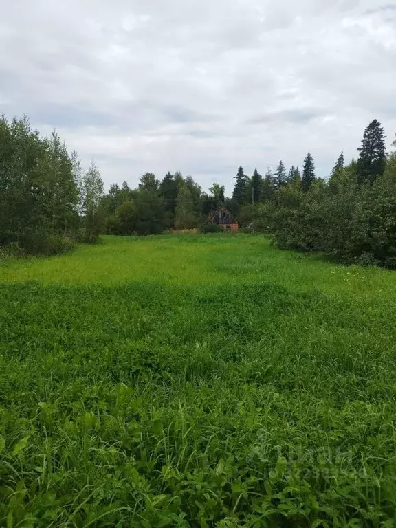 Участок в Томская область, Томский район, Лилия СНТ 34 (12.6 сот.) - Фото 1