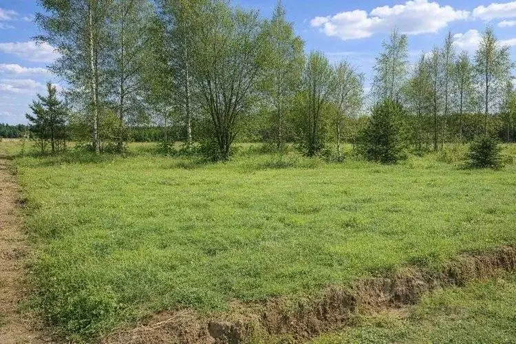 Участок в Московская область, Солнечногорск городской округ, д. Покров ... - Фото 2