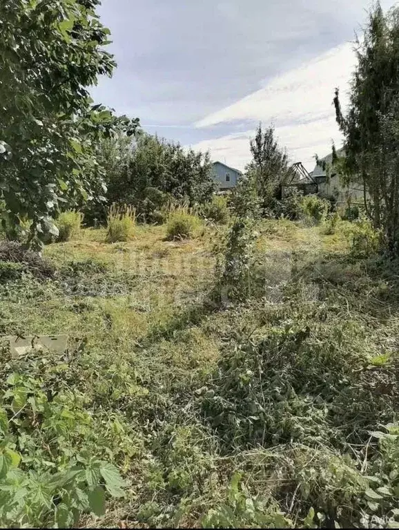 Участок в Нижегородская область, Нижний Новгород № 19 Доскинец СНТ, 75 ... - Фото 0