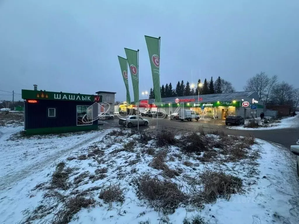 Помещение свободного назначения в Свердловская область, Тугулым пгт ... - Фото 1