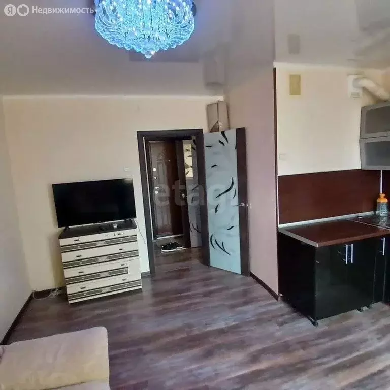 Квартира-студия: Миасс, бульвар Карпова, 2А (24 м) - Фото 2