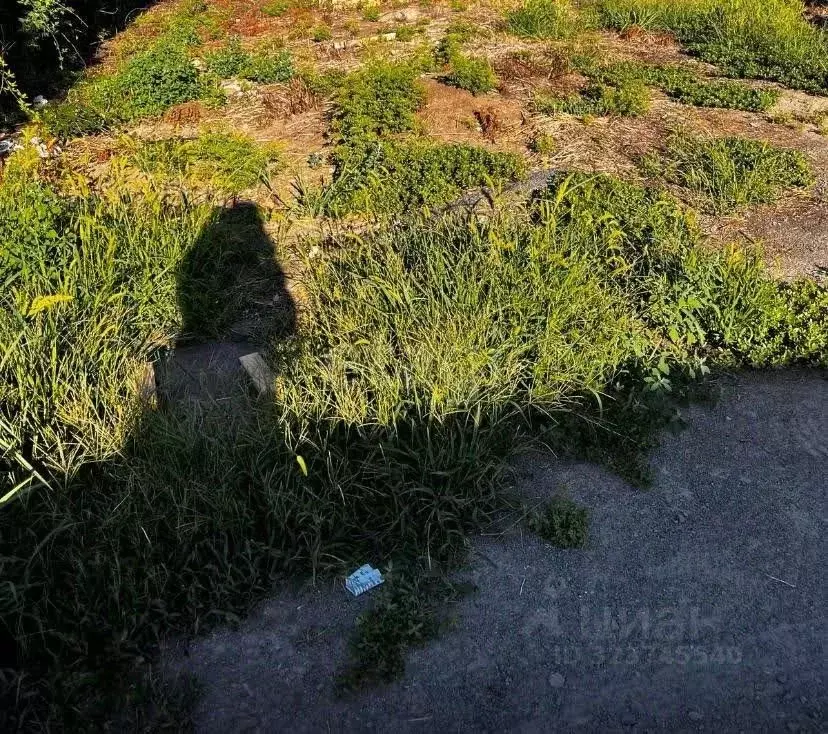 Участок в Ростовская область, Аксайский район, Щепкинское с/пос, пос. ... - Фото 1