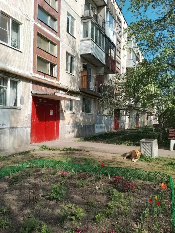 Комната Ленинградская область, Гатчинский муниципальный округ, д. ... - Фото 1