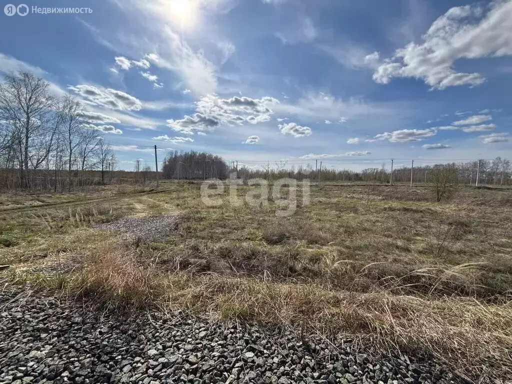 Участок в Ишим, улица Будённого (5.5 м) - Фото 2