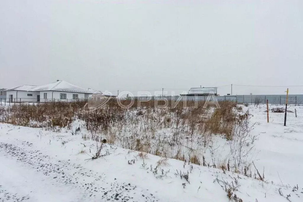 Участок в Тюменская область, Тюменский район, с. Гусево ул. Имени ... - Фото 1