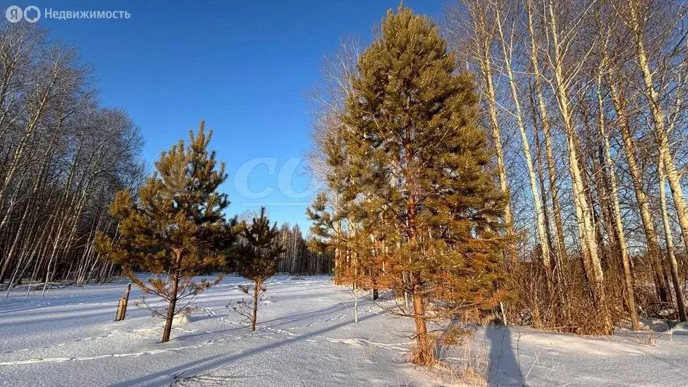 Участок в Богандинское муниципальное образование (12 м) - Фото 0