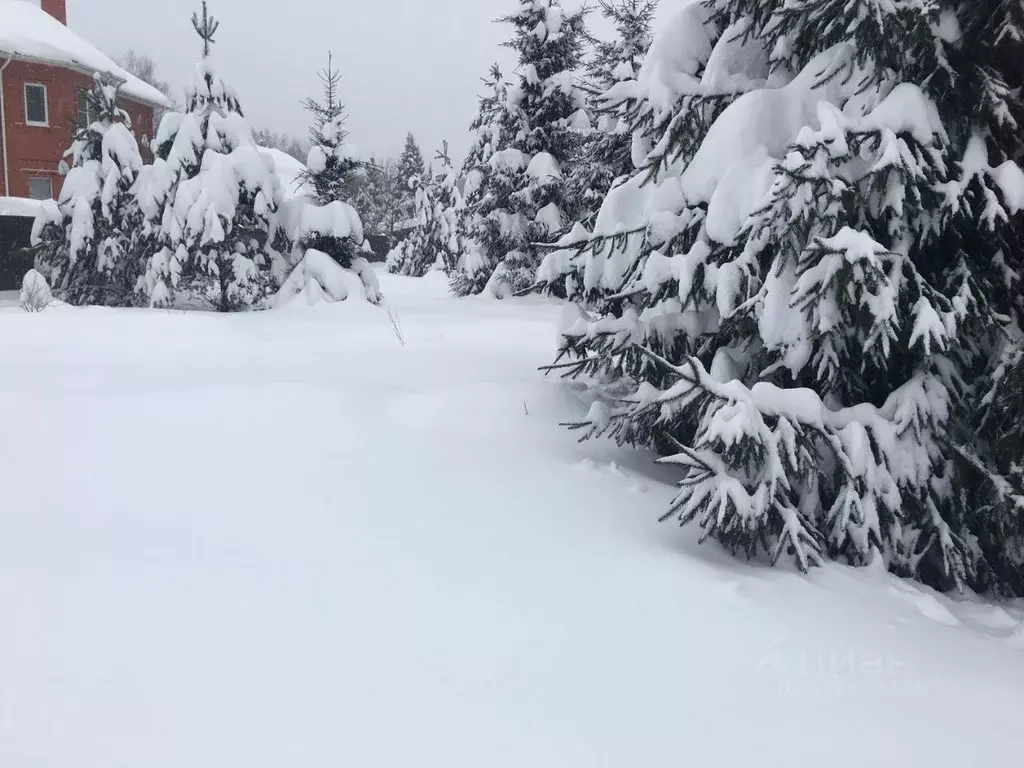 Участок в Московская область, Пушкинский городской округ, Правдинский ... - Фото 2