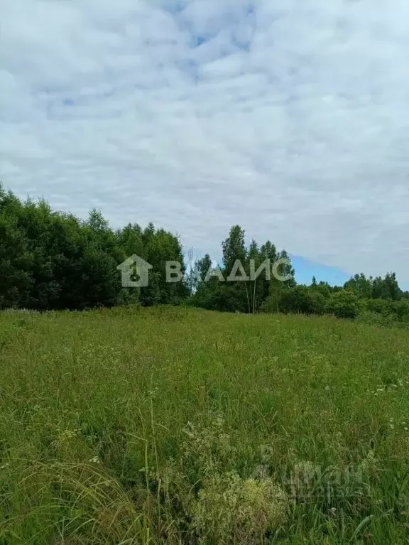 Участок в Владимирская область, Судогодский район, Вяткинское ... - Фото 1