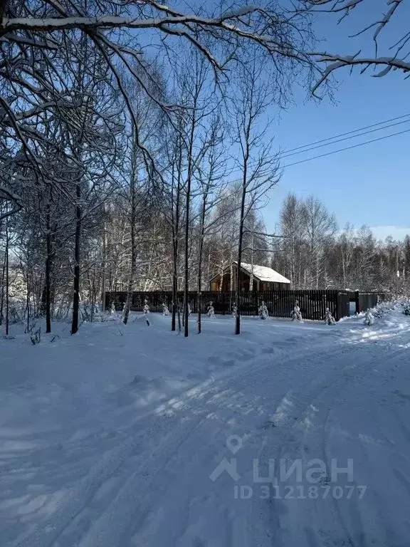 Дом в Тульская область, Тула городской округ, д. Коптево 250 (70 м) - Фото 2