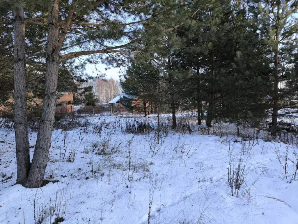 Участок в Московская область, Раменский муниципальный округ, с. Речицы ... - Фото 2