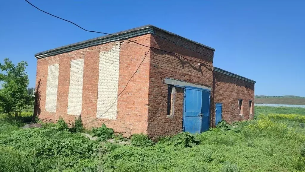 Участок в Оренбургская область, Саракташский район, Васильевский ... - Фото 1