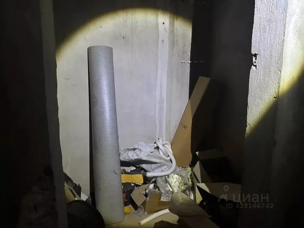 Помещение свободного назначения в Татарстан, Набережные Челны просп. ... - Фото 2