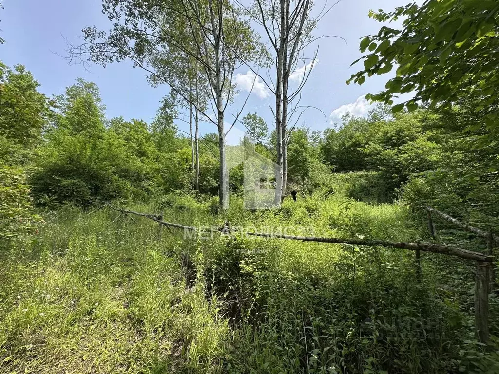 Участок в Краснодарский край, Геленджик городской округ, с. ... - Фото 0