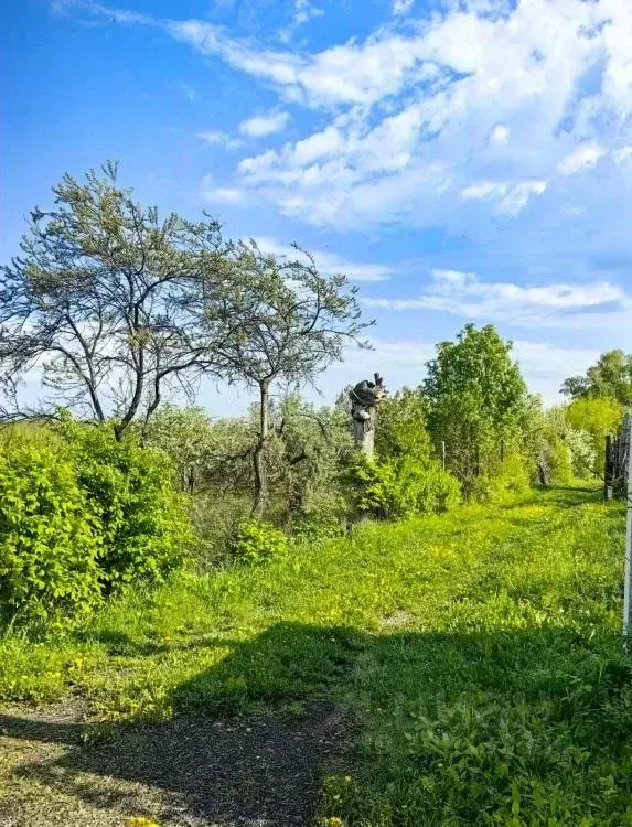 Участок в Кемеровская область, Кемерово Рудничное СНТ,  (16.34 сот.) - Фото 0