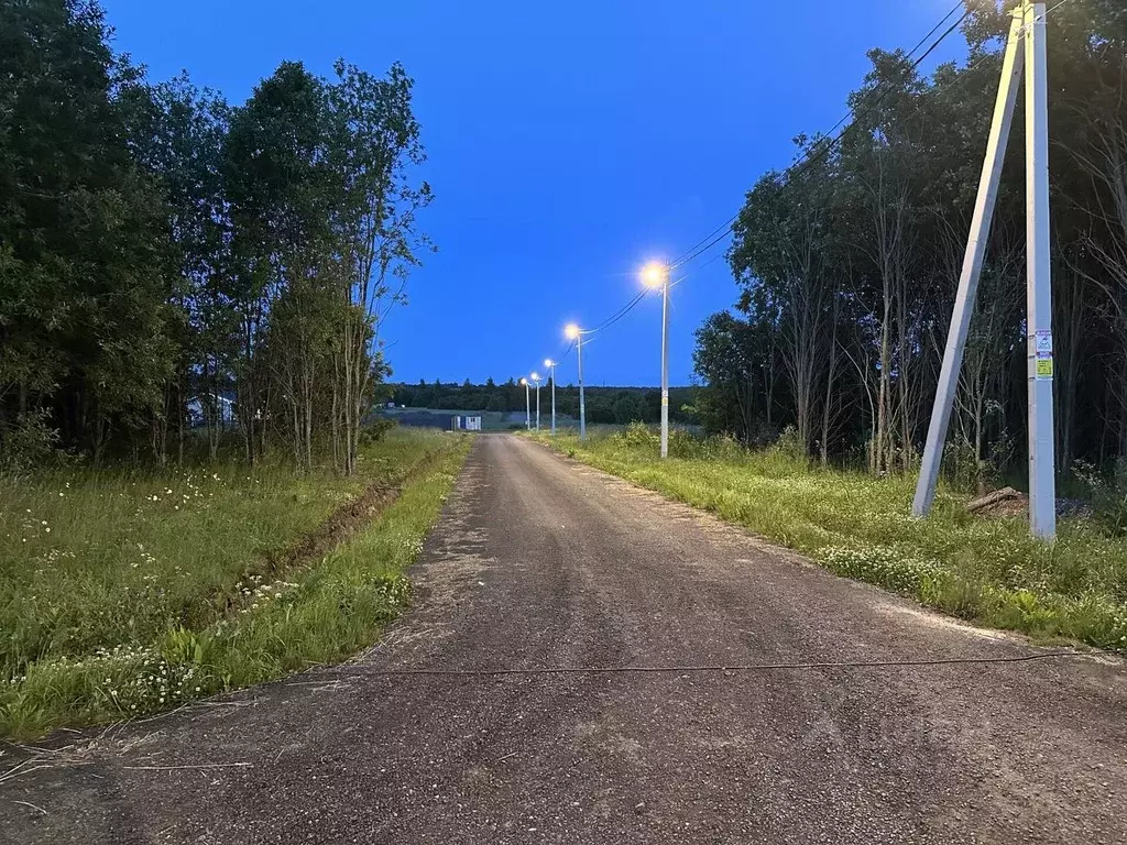 Участок в Ленинградская область, Всеволожский район, Романовское ... - Фото 0