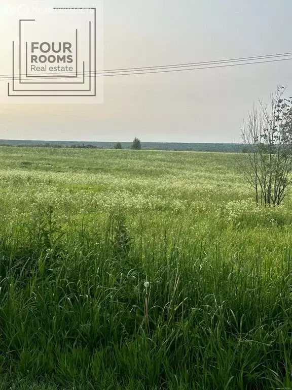 Участок в Ломоносовский район, Оржицкое сельское поселение, деревня ... - Фото 0